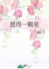 愿得一颗星大结局