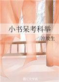 小书呆考科举火丁灯