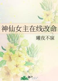神仙女主文
