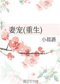 妻宠(重生)作者小晨潞TXT