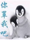 你罩我吧无删减版
