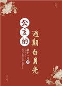 公主的过期白月光 赵十一月