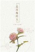 追玫瑰的人评论