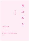 两块石头的图片