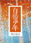 白杨少年晋江文学城