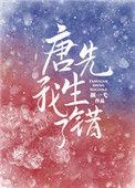 唐先生i