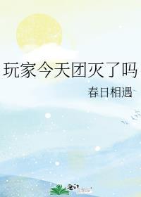 玩家今天团灭了吗免费笔趣阁