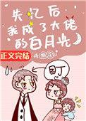 失忆后我成了大佬的白月光by墨白书