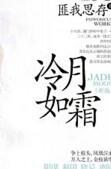 冷月如霜讲了什么