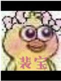 裴宝尼老师