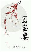 一品妙妻