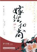 嫁给一个和尚番外二胎