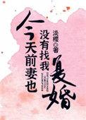 今天前妻也没找我复婚txt