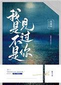 我是不是见过你是什么歌