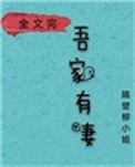娘子在下有眼无珠TXT