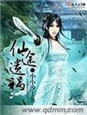 仙途遗祸结局解析大全