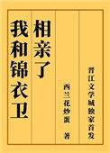 与锦衣卫有关的甜宠