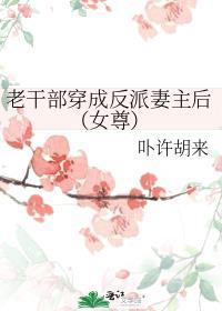 老干部穿成反派妻主后(女尊)百度