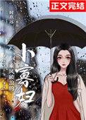 乘风破浪的小寡妇晋江