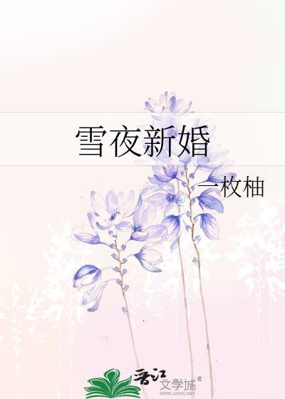 雪夜新婚番外txt百度提取码