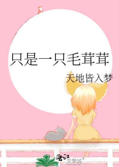 只是一只毛茸茸作者天地皆入梦