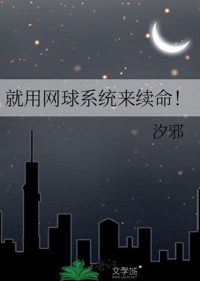 网球的网