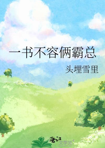 一书不容俩霸总晋江
