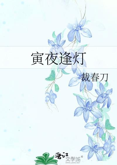 寅夜逢灯晋江