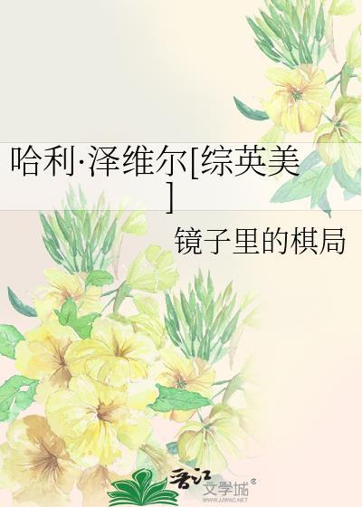 哈利泽维尔在线