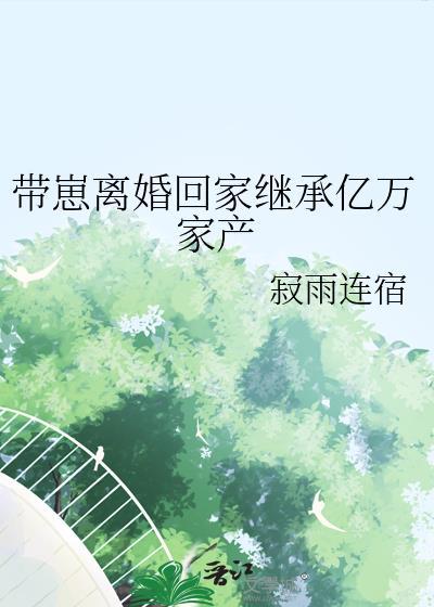 带崽离婚回家继承亿万家产txt