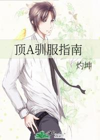 顶a驯服指南by