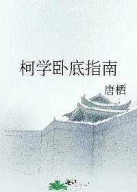 柯学卧底指南是什么