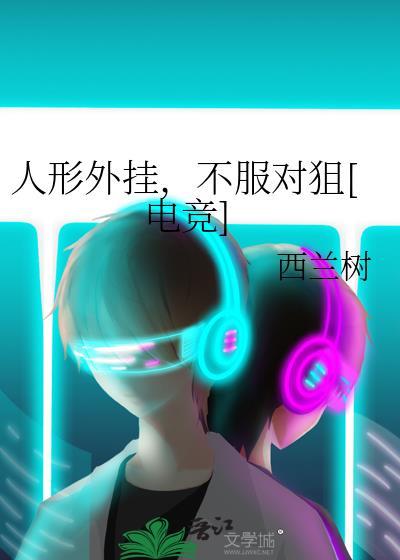 人形外挂啥意思