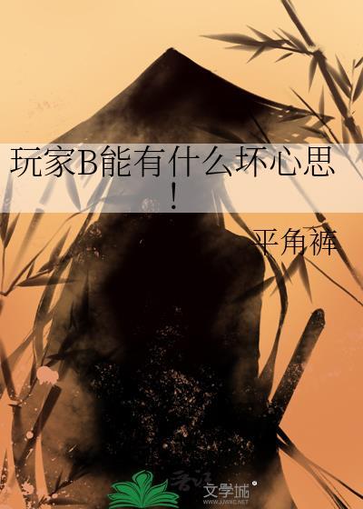 玩家bd