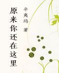 致青春原来你还在这里第二季电影