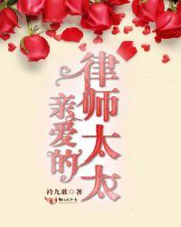 亲爱的律师太太全文免费阅读