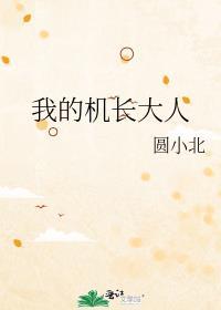 我的机长大人圆小北