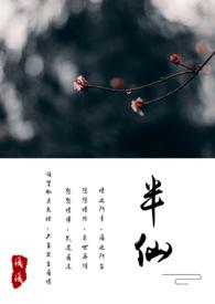 半仙儿是什么意思