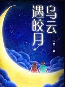 乌云遇皎月电视剧免费观看