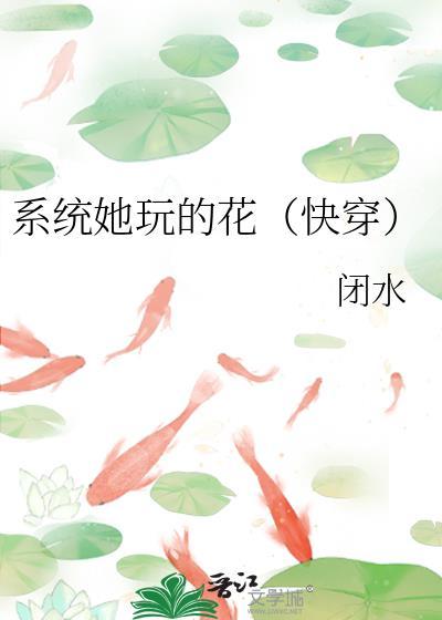 系统他哥