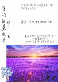 薰衣草 电视剧歌曲