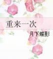重来一次简介