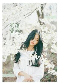 沉鱼落雁txt