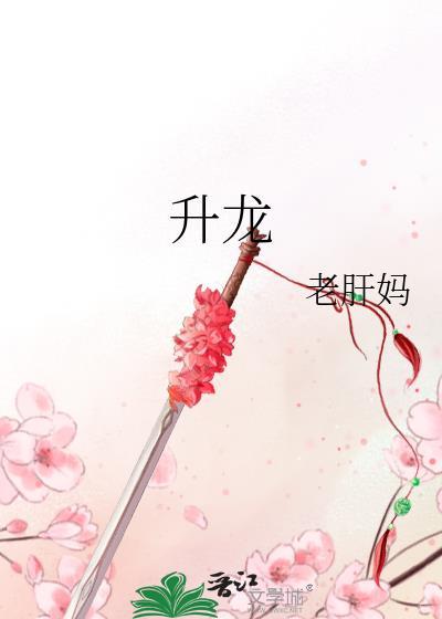 升龙集团