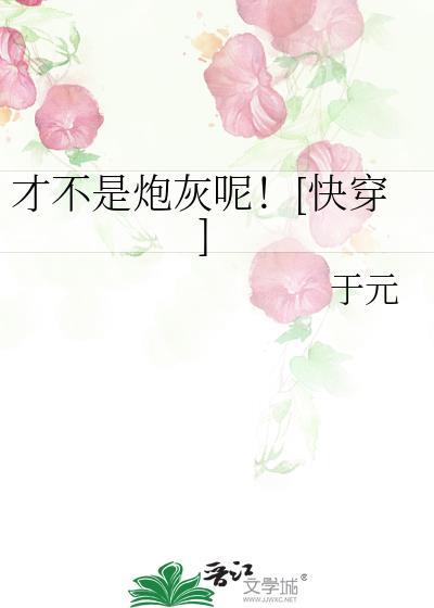 我才不是炮灰攻剧透