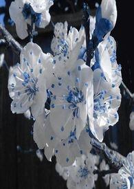 春秋航空董事长谈民航安全