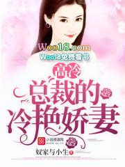 高冷总裁宠妻入骨