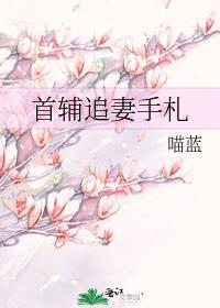 首辅追妻手札知乎
