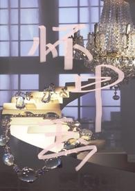 怀中娇颜免费阅读