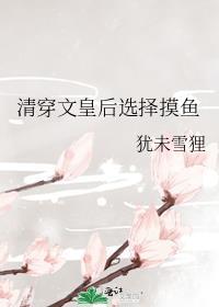 综清穿之皇后